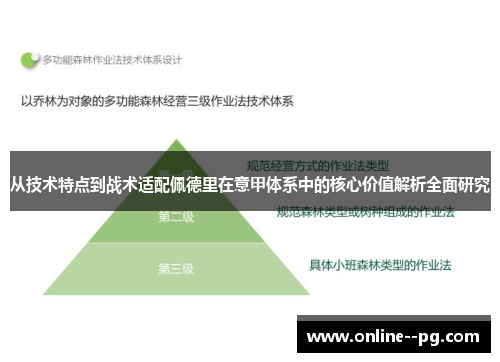 从技术特点到战术适配佩德里在意甲体系中的核心价值解析全面研究